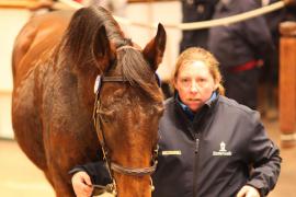 Lot  1826 T D M2462 Tattersalls