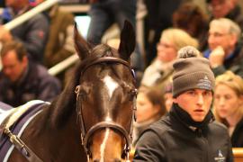 Lot  1836 T D M2845 Tattersalls