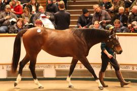 Lot  1855 T D M3892 Tattersalls