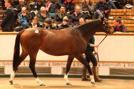 Lot  1855 T D M3910 Tattersalls