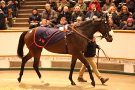 Lot  1861 T D M4118 Tattersalls