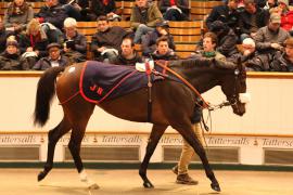 Lot  1861 T D M4129 Tattersalls