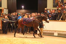 Lot  1861 T D M4183 Tattersalls