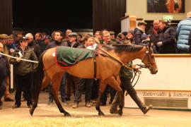 Lot  1864 T D M4323 Tattersalls