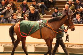 Lot  1865 T D M4368 Tattersalls