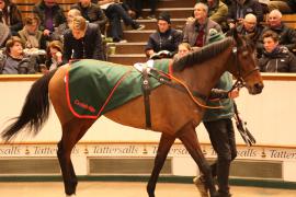 Lot  1865 T D M4369 Tattersalls