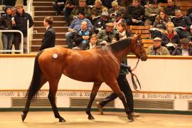 Lot  1868 T D M4424 Tattersalls