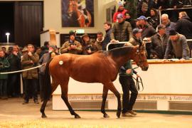 Lot  1868 T D M4465 Tattersalls