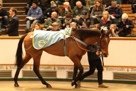 Lot  1876 T D M4814 Tattersalls