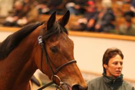 Lot  2112 T D M0635 Tattersalls