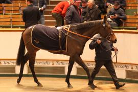 Lot  2114 T D M0715 Tattersalls