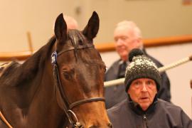 Lot  2114 T D M0755 Tattersalls