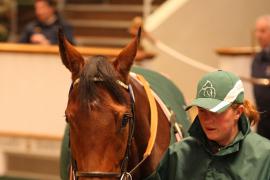 Lot  2125 T D M0850 Tattersalls