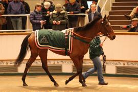 Lot  2129 T D M1019 Tattersalls