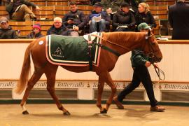 Lot  2131 T D M1073 Tattersalls