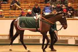 Lot  2136 T D M1162 Tattersalls