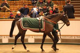 Lot  2136 T D M1178 Tattersalls