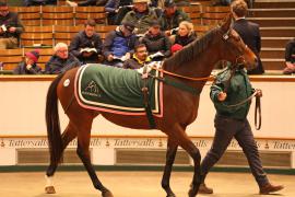 Lot  2139 T D M1351 Tattersalls