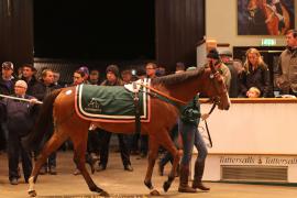 Lot  2140 T D M1503 Tattersalls