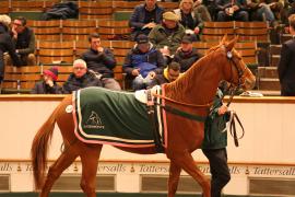 Lot  2147 T D M1523 Tattersalls