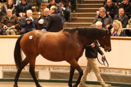 Lot  1865 T D M1971 Tattersalls