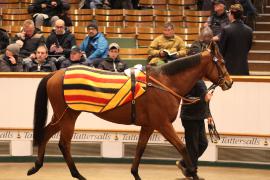 Lot  1850 T D M1840 Tattersalls