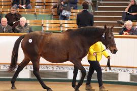 Lot  1796 T D M1062 Tattersalls