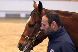 Lot  1805 T D M1532 Tattersalls