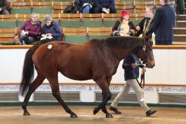 Lot  1718 T D M0727 Tattersalls