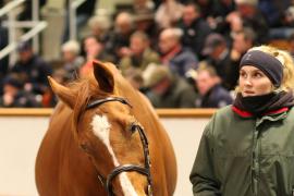 Lot  1577 T D M4939 Tattersalls