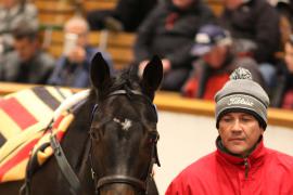 Lot  1570 T D M4598 Tattersalls