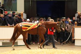 Lot  1568 T D M4487 Tattersalls