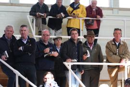 Team Coolmore