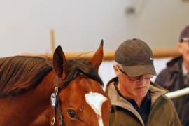 Lot  283 T B K1 1294 Tattersalls