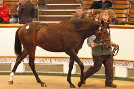 Lot  284 T B K1 1421 Tattersalls