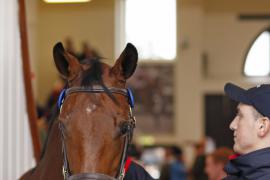 Lot  284 T B K1 1396 Tattersalls