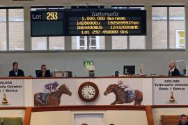 Lot  293 T B K1 1545 Tattersalls