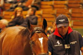 Lot  339 T B K1 1832 Tattersalls