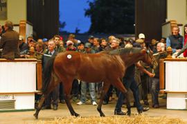 Lot  339 T B K1 1858 Tattersalls