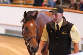 Lot  75 T B1 1293 Tattersalls