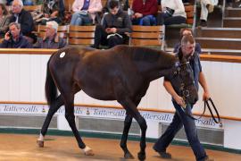 Lot  76 T B1 1375 Tattersalls