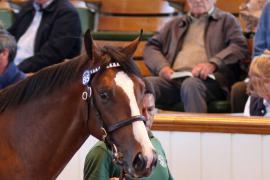 Lot  85 T B1 1465 Tattersalls