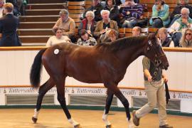 Lot  121 T B1 2131 Tattersalls