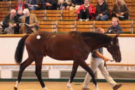 Lot  121 T B1 2141 Tattersalls