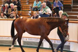 Lot  129 T B1 2198 Tattersalls