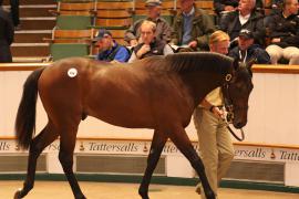 Lot  166 T B1 2541 Tattersalls