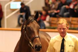 Lot  166 T B1 2556 Tattersalls