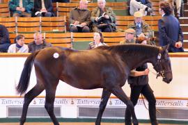 Lot  279 T B1 1177 Tattersalls