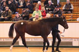 Lot  319 T B1 1733 Tattersalls