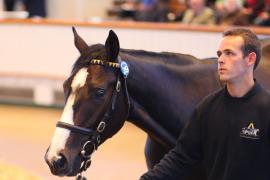 Lot  319 T B1 1796 Tattersalls